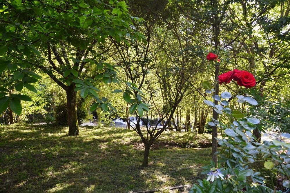 Гостьовий будинок Casa Da Quinta Do Rei Понте-де-Ліма Екстер'єр фото